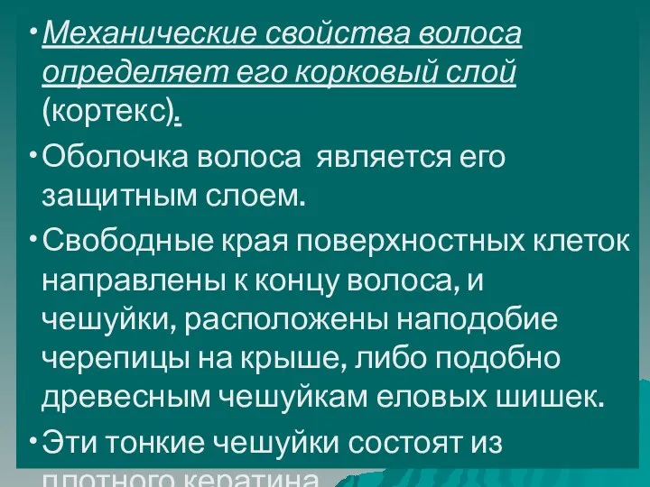 Механические свойства волоса определяет его корковый слой (кортекс). Оболочка волоса