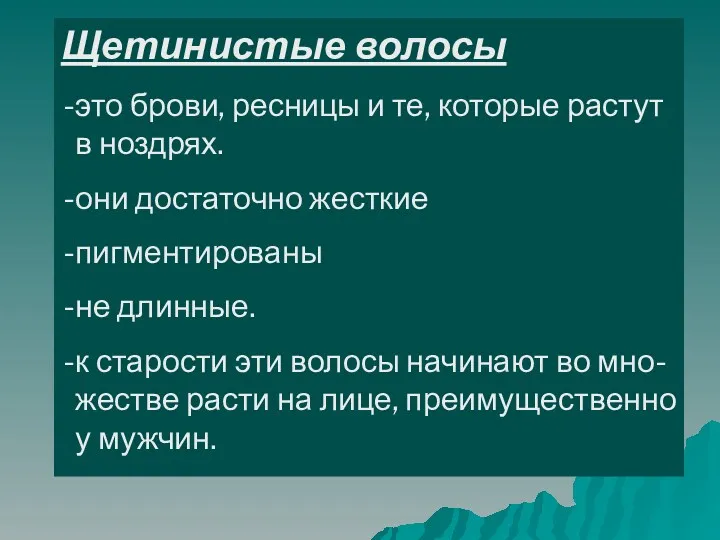 Щетинистые волосы это брови, ресницы и те, которые растут в