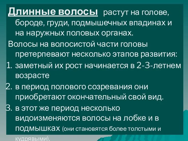 Длинные волосы растут на голове, бороде, груди, подмышечных впадинах и