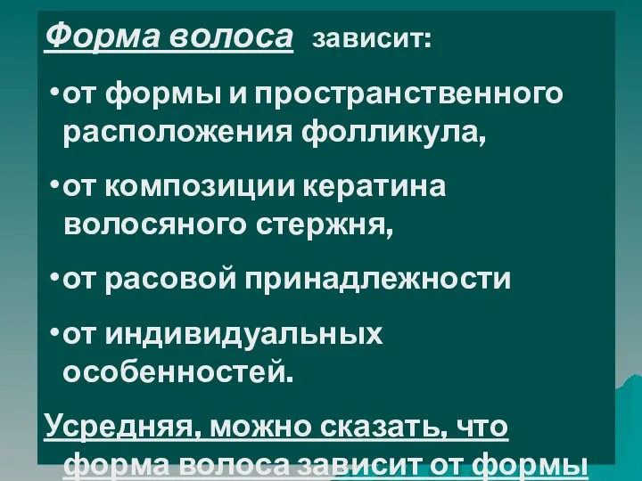 Форма волоса зависит: от формы и пространственного расположения фолликула, от