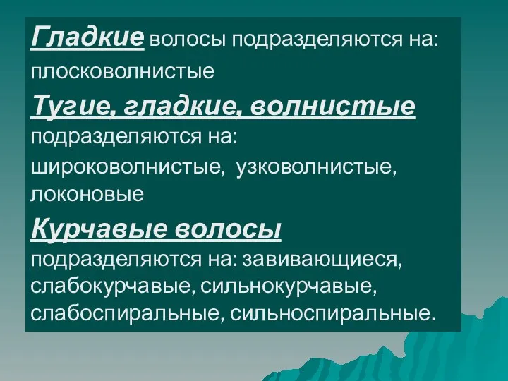 Гладкие волосы подразделяются на: плосковолнистые Тугие, гладкие, волнистые подразделяются на: