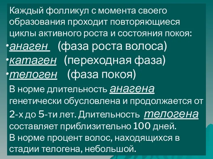 Каждый фолликул с момента своего образования проходит повторяющиеся циклы активного