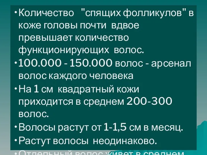 Количество "спящих фолликулов" в коже головы почти вдвое превышает количество