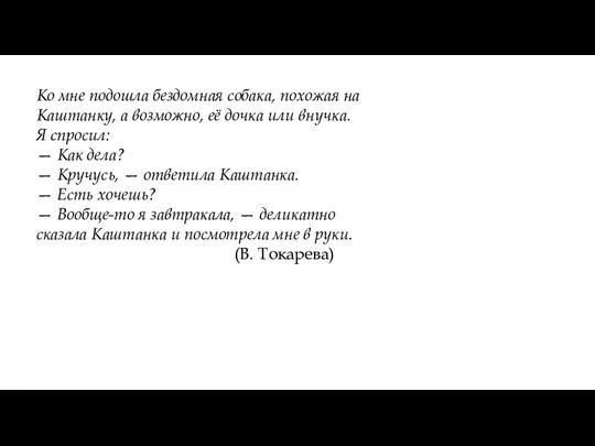 Ко мне подошла бездомная собака, похожая на Каштанку, а возможно,