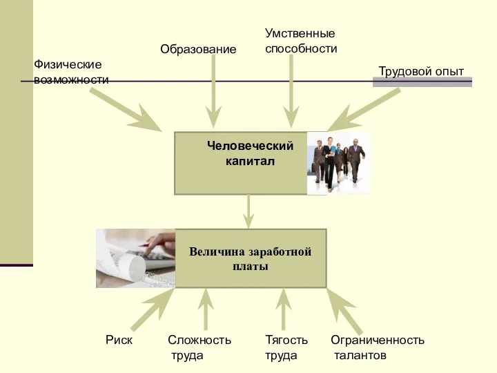 Человеческий капитал Образование Умственные способности Физические возможности Трудовой опыт Величина