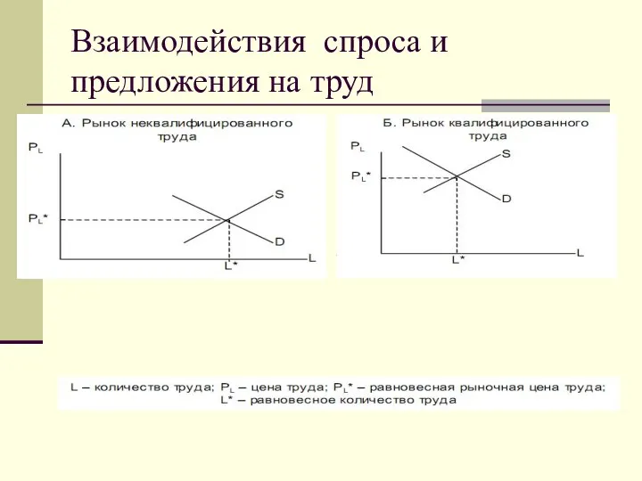 Взаимодействия спроса и предложения на труд