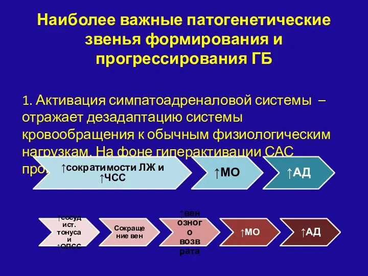 Наиболее важные патогенетические звенья формирования и прогрессирования ГБ 1. Активация