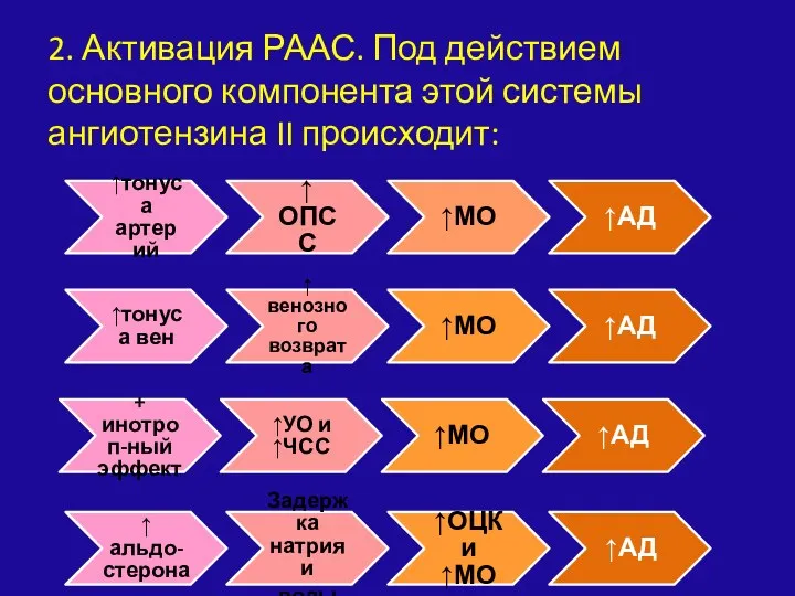 2. Активация РААС. Под действием основного компонента этой системы ангиотензина