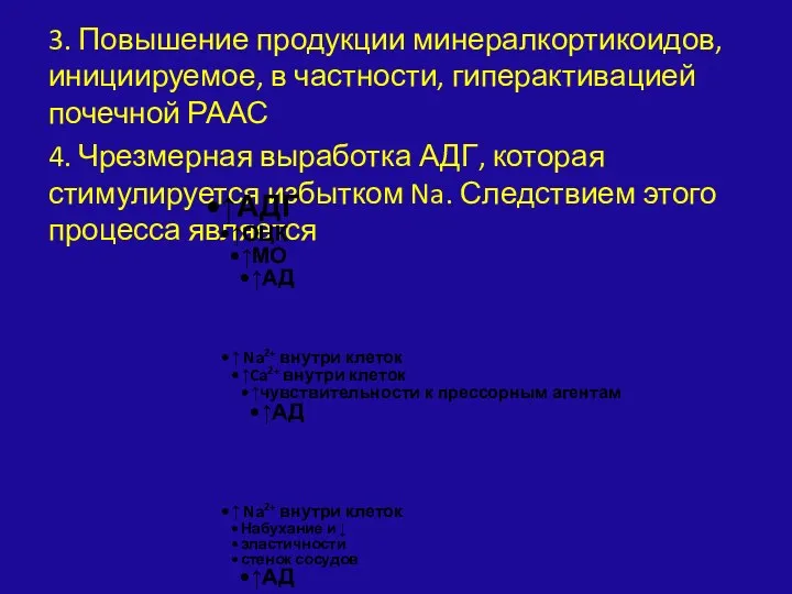 3. Повышение продукции минералкортикоидов, инициируемое, в частности, гиперактивацией почечной РААС