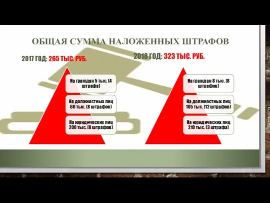 ОБЩАЯ СУММА НАЛОЖЕННЫХ ШТРАФОВ 2017 ГОД: 265 ТЫС. РУБ. 2018 ГОД: 323 ТЫС. РУБ.