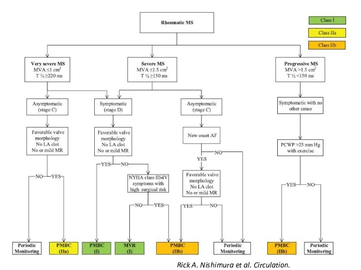 Rick A. Nishimura et al. Circulation. 2014;129:2440-2492