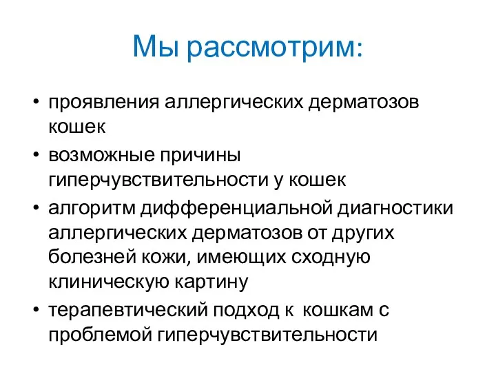 Мы рассмотрим: проявления аллергических дерматозов кошек возможные причины гиперчувствительности у