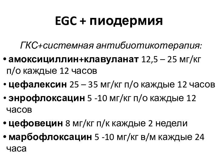 EGC + пиодермия ГКС+системная антибиотикотерапия: амоксициллин+клавуланат 12,5 – 25 мг/кг