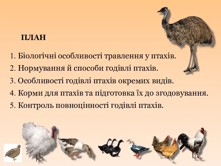 ПЛАН 1. Біологічні особливості травлення у птахів. 2. Нормування й