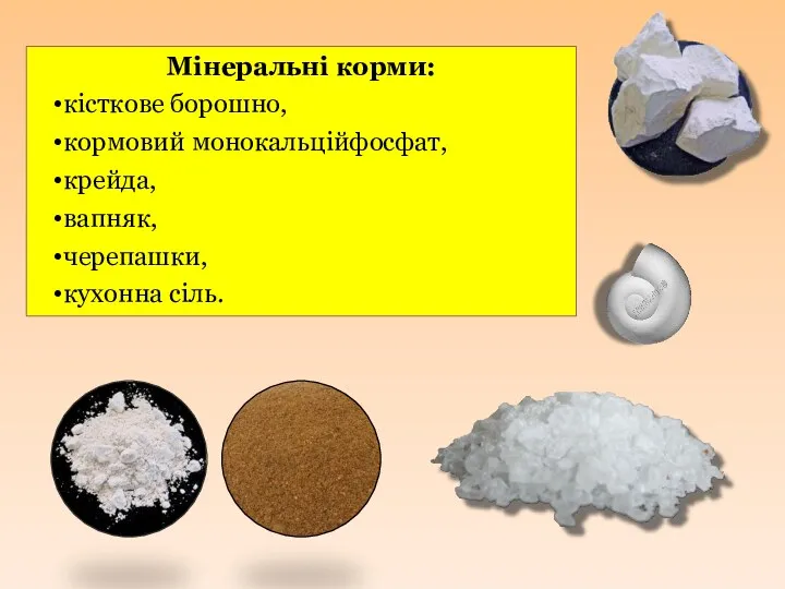 Мінеральні корми: кісткове борошно, кормовий монокальційфосфат, крейда, вапняк, черепашки, кухонна сіль.