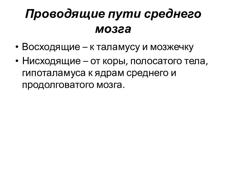 Проводящие пути среднего мозга Восходящие – к таламусу и мозжечку