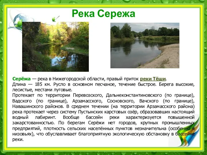 Река Сережа Серёжа — река в Нижегородской области, правый приток