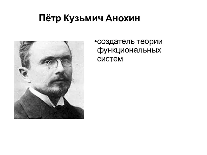 Пётр Кузьмич Анохин создатель теории функциональных систем