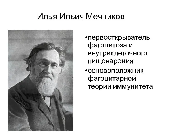 Илья Ильич Мечников первооткрыватель фагоцитоза и внутриклеточного пищеварения основоположник фагоцитарной теории иммунитета