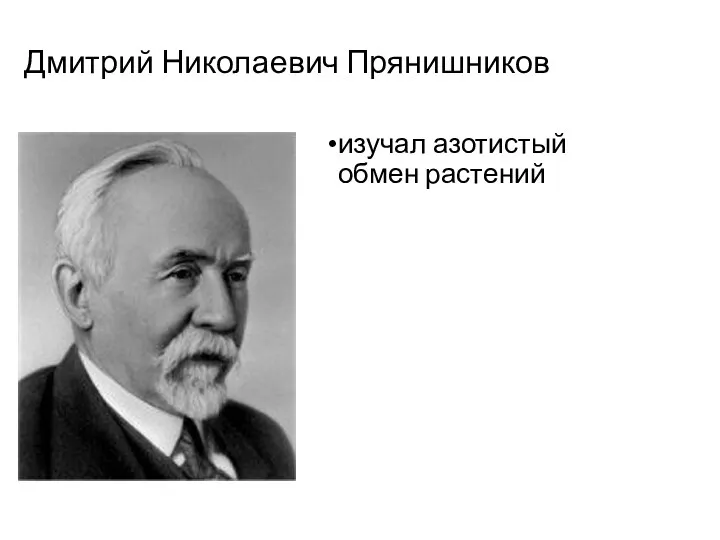 Дмитрий Николаевич Прянишников изучал азотистый обмен растений