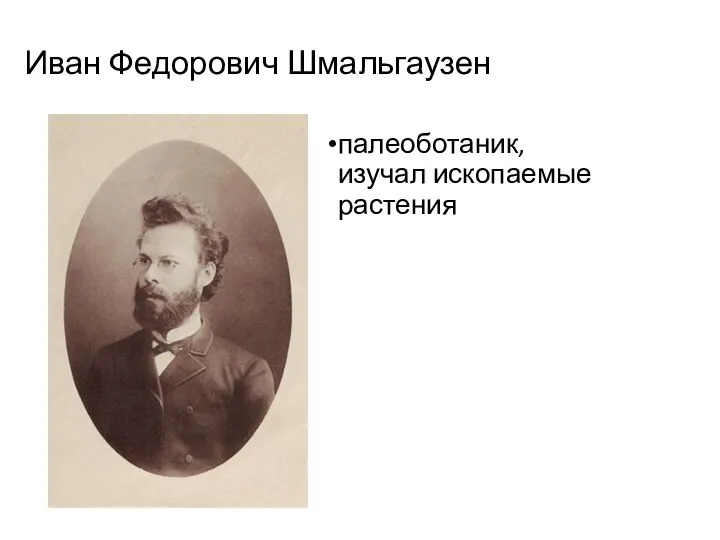 Иван Федорович Шмальгаузен палеоботаник, изучал ископаемые растения