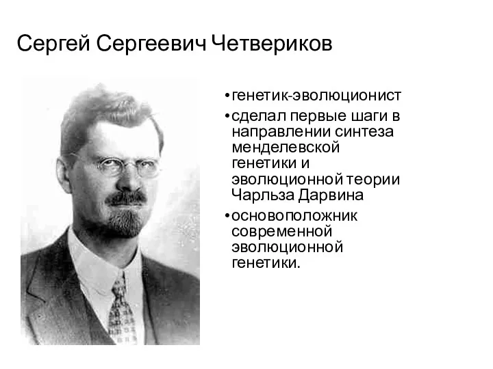 Сергей Сергеевич Четвериков генетик-эволюционист сделал первые шаги в направлении синтеза менделевской генетики и