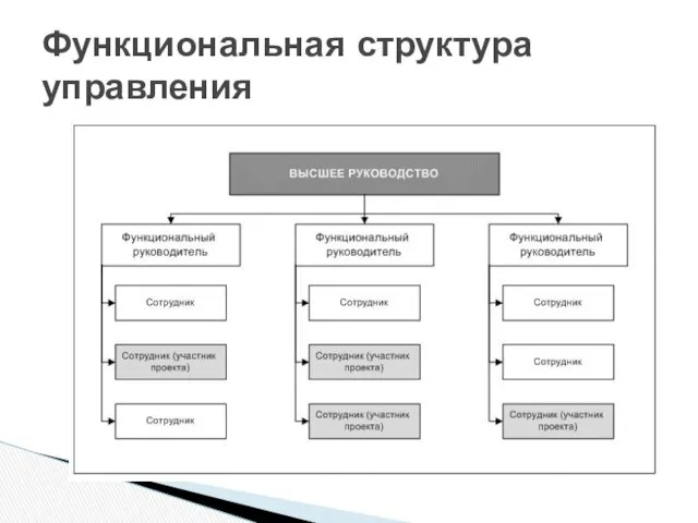 Функциональная структура управления