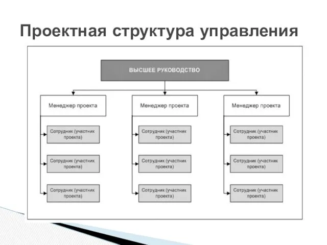 Проектная структура управления