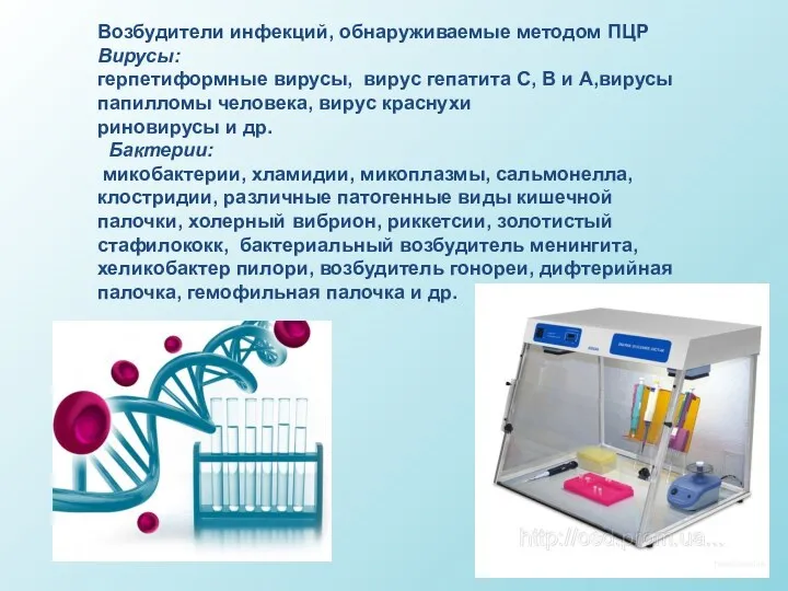 Возбудители инфекций, обнаруживаемые методом ПЦР Вирусы: герпетиформные вирусы, вирус гепатита