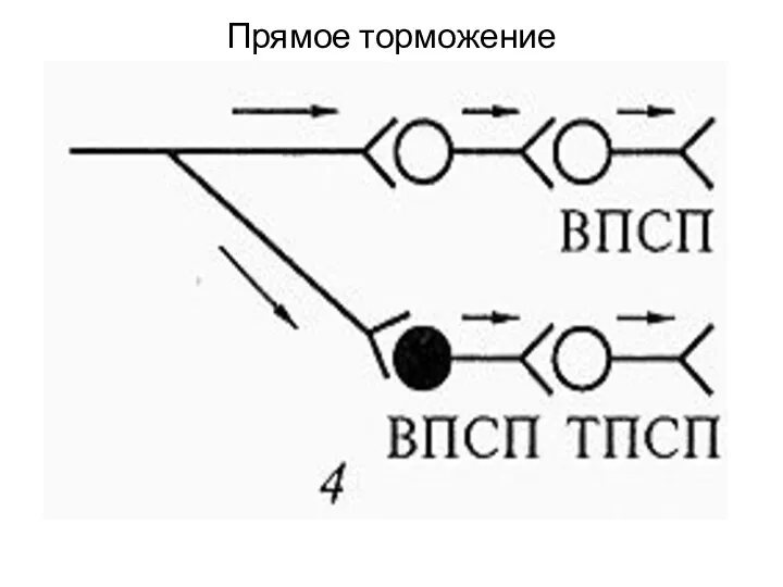 Прямое торможение