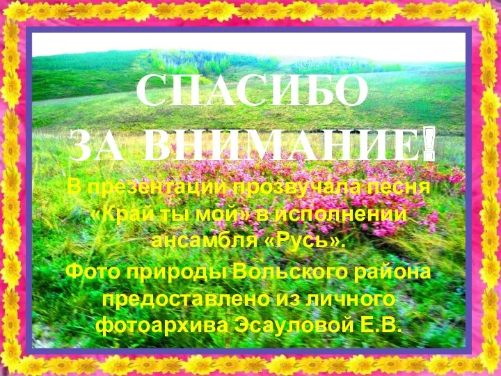 СПАСИБО ЗА ВНИМАНИЕ! Фото природы Вольского района предоставлено из личного