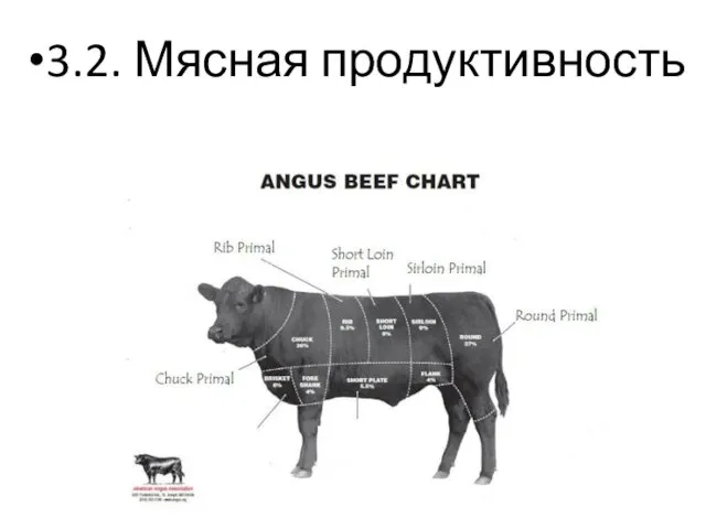 3.2. Мясная продуктивность