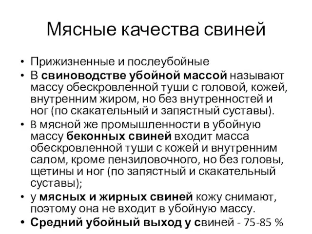 Мясные качества свиней Прижизненные и послеубойные В свиноводстве убойной массой