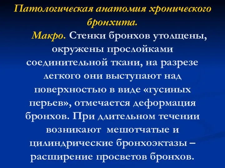 Патологическая анатомия хронического бронхита. Макро. Стенки бронхов утолщены, окружены прослойками