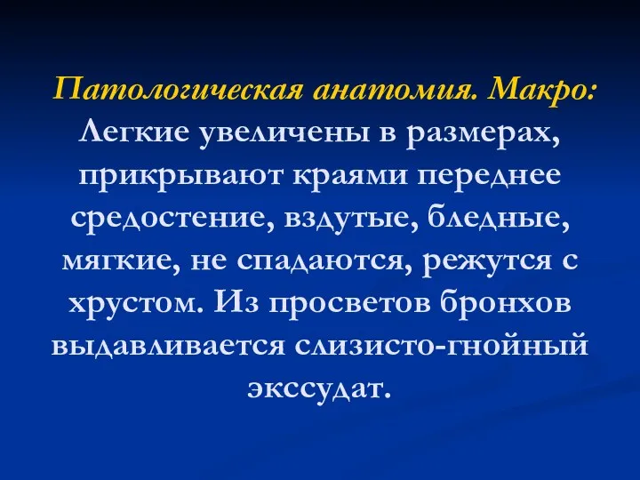 Патологическая анатомия. Макро: Легкие увеличены в размерах, прикрывают краями переднее