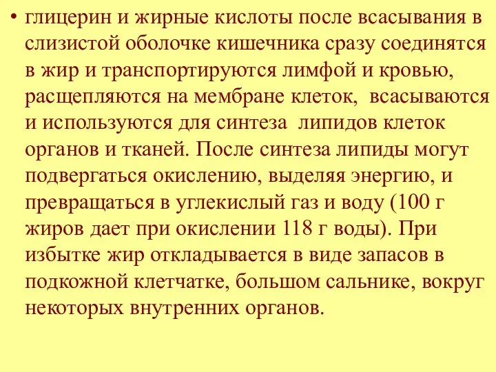 глицерин и жирные кислоты после всасывания в слизистой оболочке кишечника