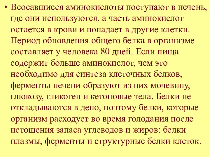 Всосавшиеся аминокислоты поступают в печень, где они используются, а часть