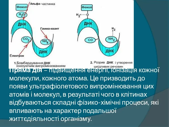 Пряма дія – підвищення енергії, іонізація кожної молекули, кожного атома.