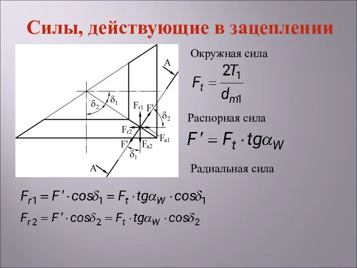 Силы, действующие в зацеплении Окружная сила Распорная сила Радиальная сила