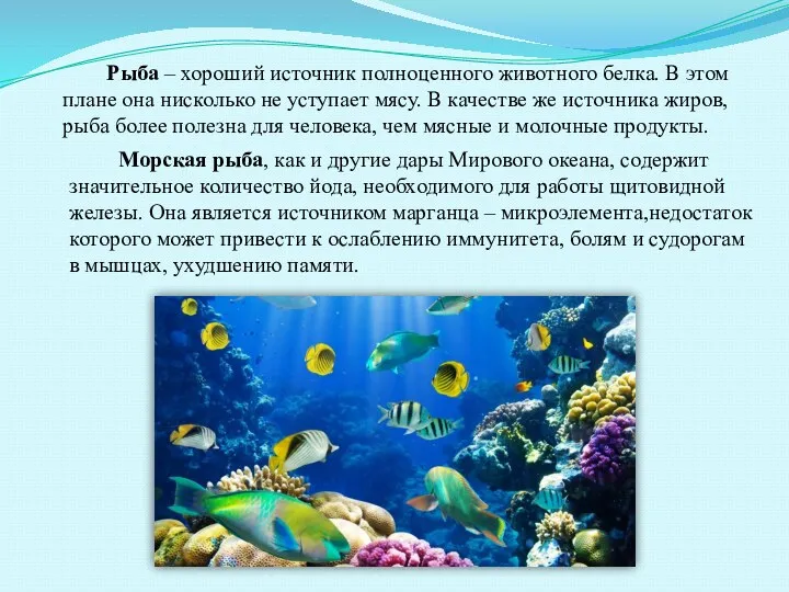 Рыба – хороший источник полноценного животного белка. В этом плане