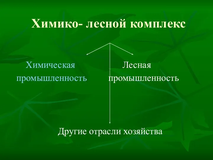 Химико- лесной комплекс Химическая Лесная промышленность промышленность Другие отрасли хозяйства