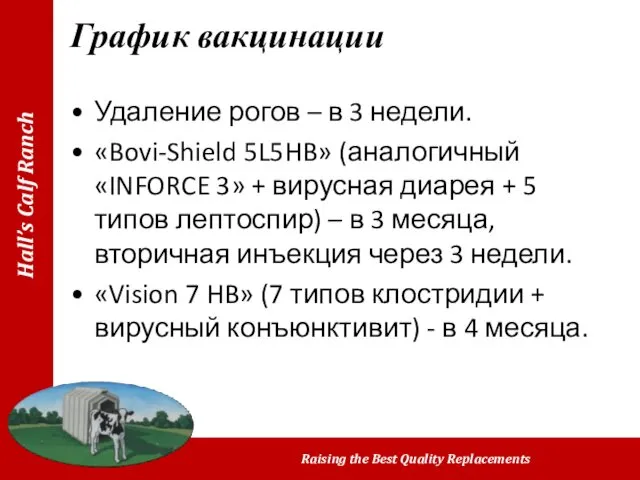 Удаление рогов – в 3 недели. «Bovi-Shield 5L5HB» (аналогичный «INFORCE