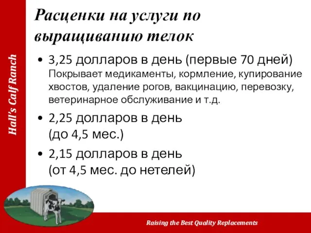 Расценки на услуги по выращиванию телок 3,25 долларов в день