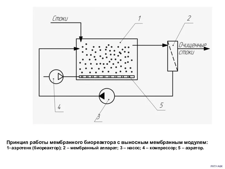 РХТУ АЕК Принцип работы мембранного биореактора с выносным мембранным модулем: