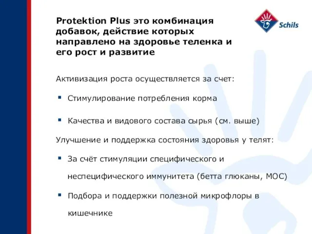 Protektion Plus это комбинация добавок, действие которых направлено на здоровье теленка и его