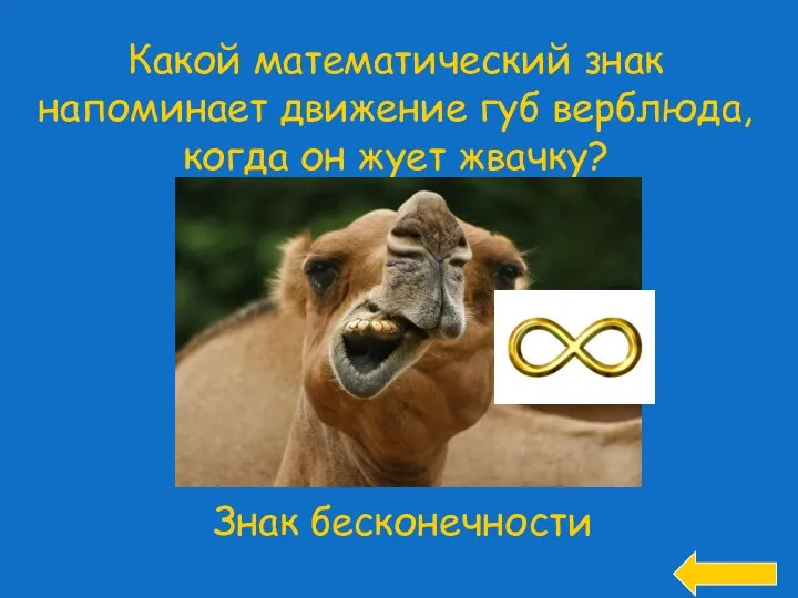 Какой математический знак напоминает движение губ верблюда, когда он жует жвачку? Знак бесконечности