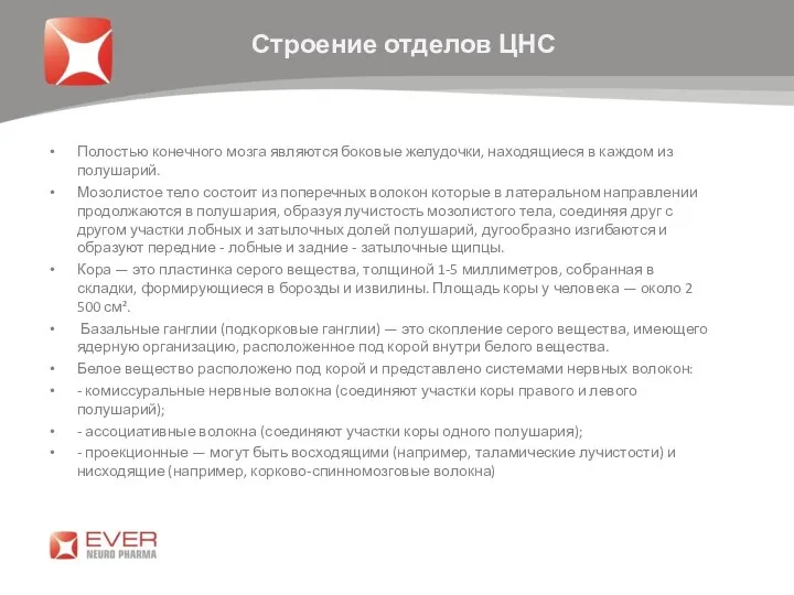 Полостью конечного мозга являются боковые желудочки, находящиеся в каждом из