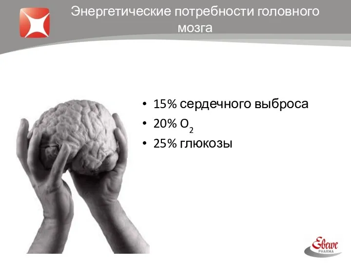 Энергетические потребности головного мозга 15% сердечного выброса 20% O2 25% глюкозы