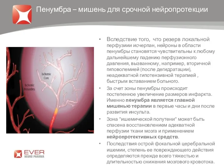 Вследствие того, что резерв локальной перфузиии исчерпан, нейроны в области