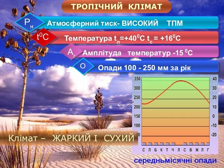 ТРОПІЧНИЙ КЛІМАТ Клімат – ЖАРКИЙ І СУХИЙ